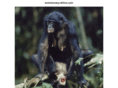 evolutionary-ethics.com