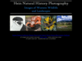 heinphoto.com