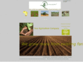 panafagric.com