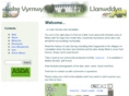 llanwddyn.com