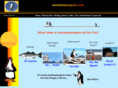 summerpenguin.com