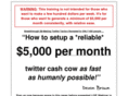 twittercashtactics.com