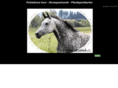 horses-postcards.com