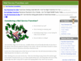 mailservicefranchise.com