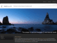 amellus.com