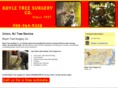 boyletreesurgery.com