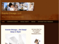 events-chicago.com