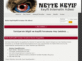 nettekeyif.com