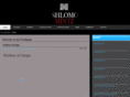 shlomo-mintz.com
