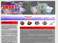 smartcamp.org