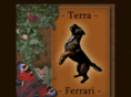 terraferrari.no