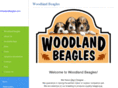 woodlandbeagles.com