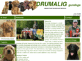 drumaliggundogs.com