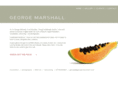 george-marshall.com