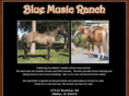 bluemusicranch.com