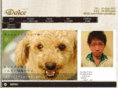 dolce-poodle.jp