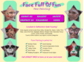 facefulloffun.com