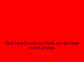 pjmcnally.com