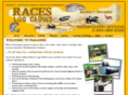 raceslogcabins.com