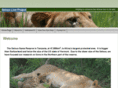 selouslion.org