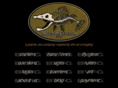 trout-guide.com