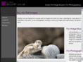 ultimategallery.co.uk