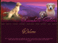 bearabellagoldens.com