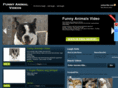 funnyanimalsvideo.net