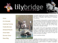 lilybridgeeventing.com
