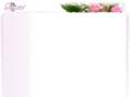 littleflowerco.com