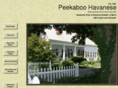 peekaboohavanese.com