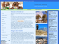 tenerent.com