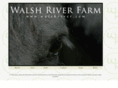 walshriver.com