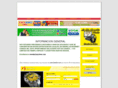 amarillasinternet.ca