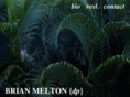 bmelton.com