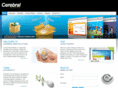 cerebralwebsolutions.com