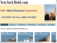 newyorkmoldinspection.com