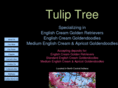 tuliptreeretrievers.com