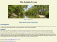 lemkingroup.com