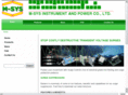 m-sysinstruments.com