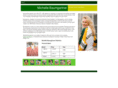 michellebaumgartner.com