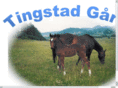 tingstadgard.com