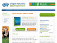 dragonnaturallyspeakingreview.com