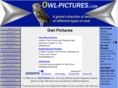 owl-pictures.com