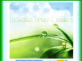 st-truecolors.com