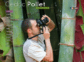 cedric-pollet.com