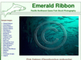 emeraldribbon.com