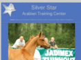 silverstaratc.com