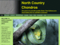 nccpythons.com