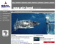 sea-air-land.com